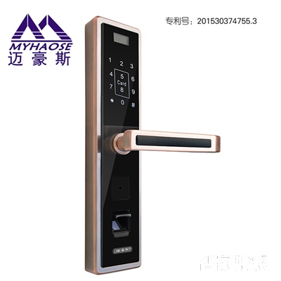 灵宝全自动智能锁 家用木门室内指纹密码锁