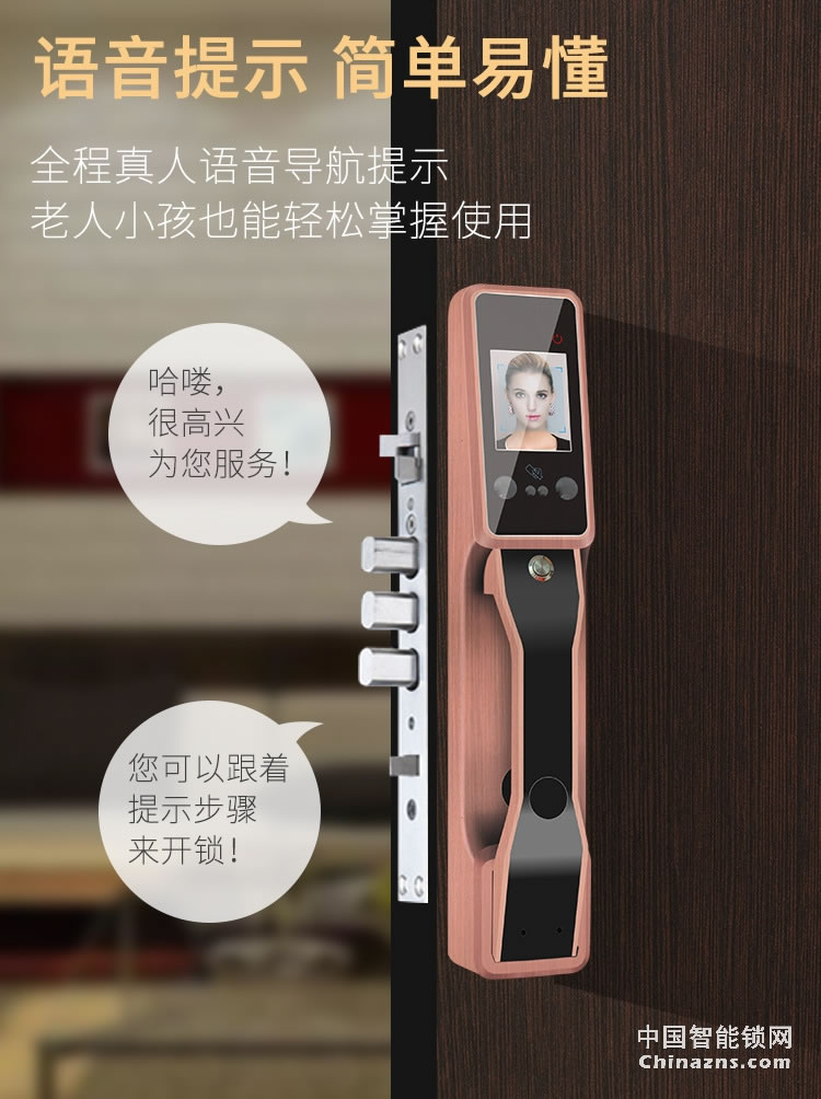 金玉鑫人脸全自动智能锁 防特斯拉线圈门锁