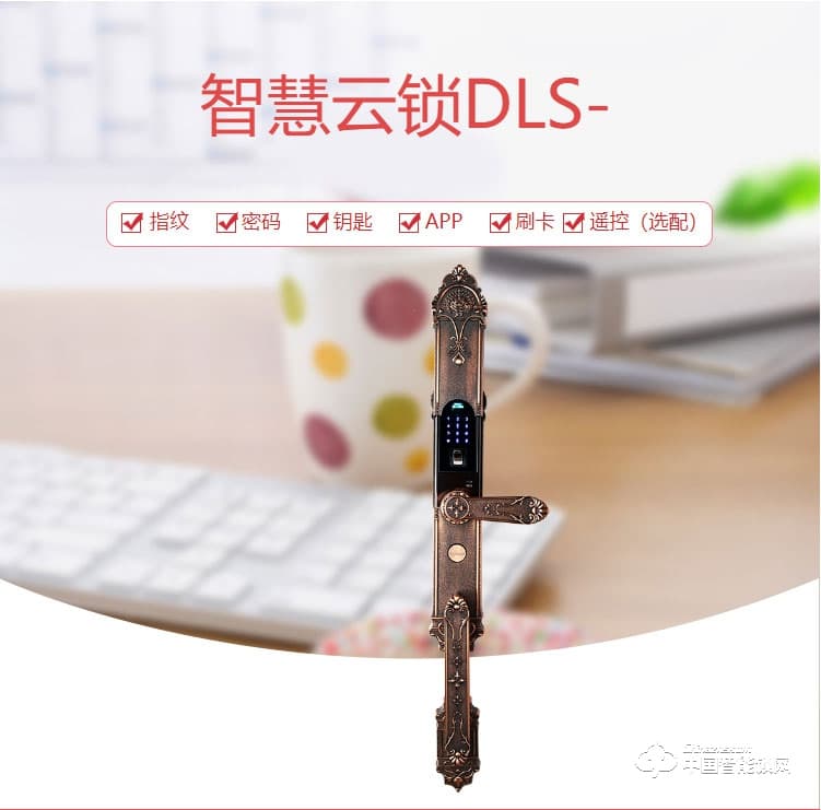 迪曼斯智能锁 智能家居家用防盗门密码磁卡锁DLS-09