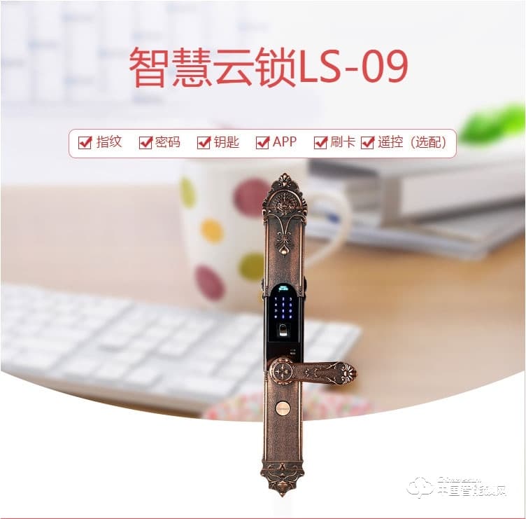 迪曼斯智能锁 家用防盗门密码磁卡锁 智能电子锁LS-09