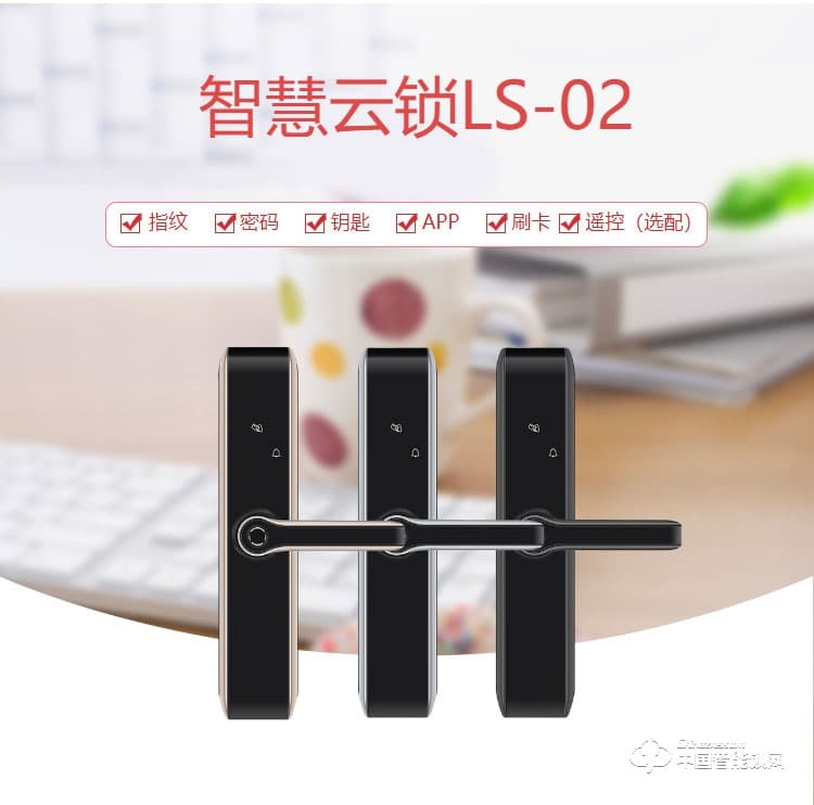 迪曼斯智能锁 智能家居家用防盗门密码磁卡锁LS-02