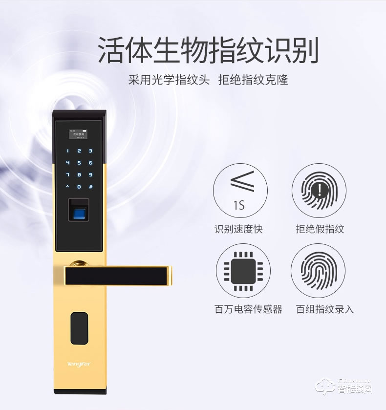 腾飞指纹锁 家用防盗门智能锁指纹锁密码锁