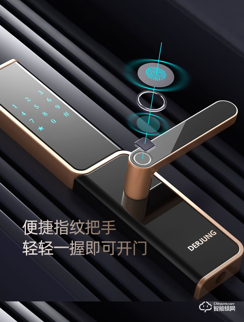 典匠智能锁 D5家用防盗门密码锁感应锁