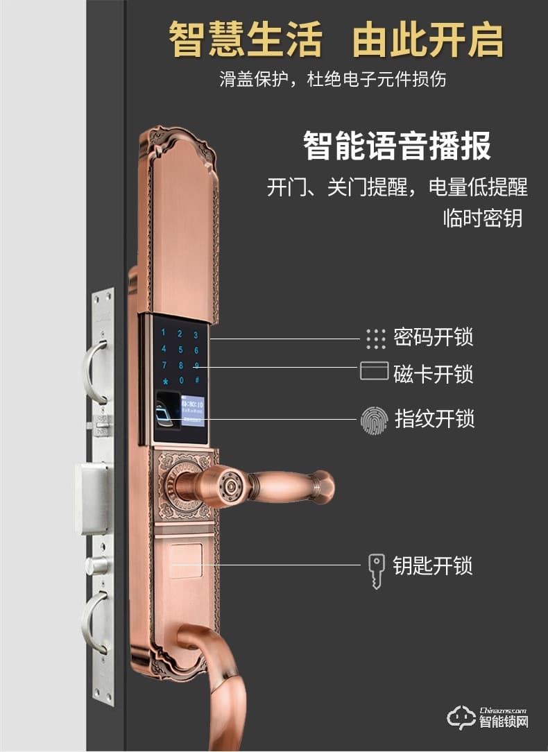 盾豹智能锁 D-WZ1豪华别墅门指纹锁