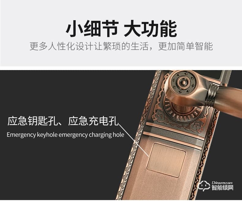 盾豹智能锁 D-WZ1豪华别墅门指纹锁