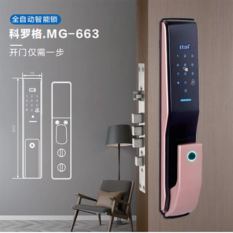 科罗格智能锁 MG-663推拉式家用防盗智能门锁