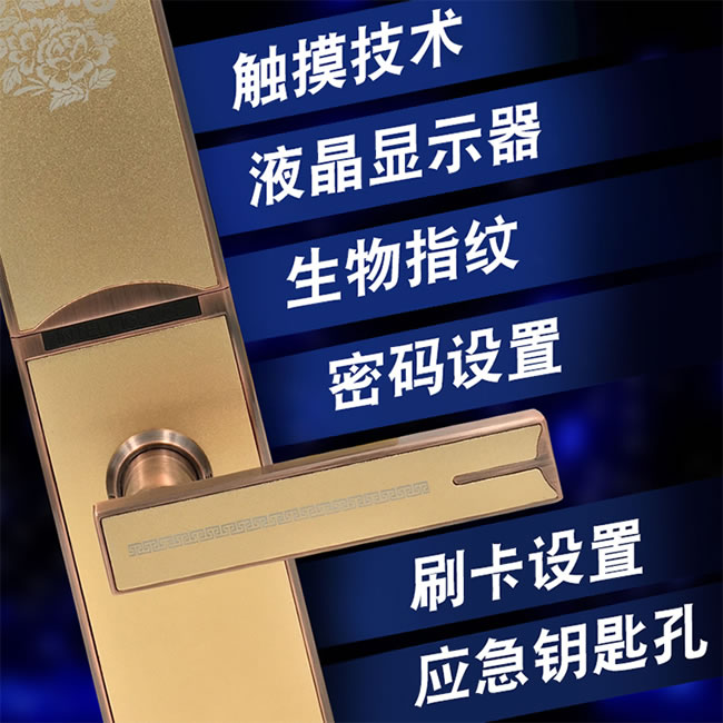 罗帝斯智能锁 家用防盗锁感应刷卡锁