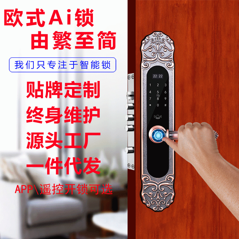 巨石智慧智能锁 HR-L3欧式智能锁别墅大门指纹锁