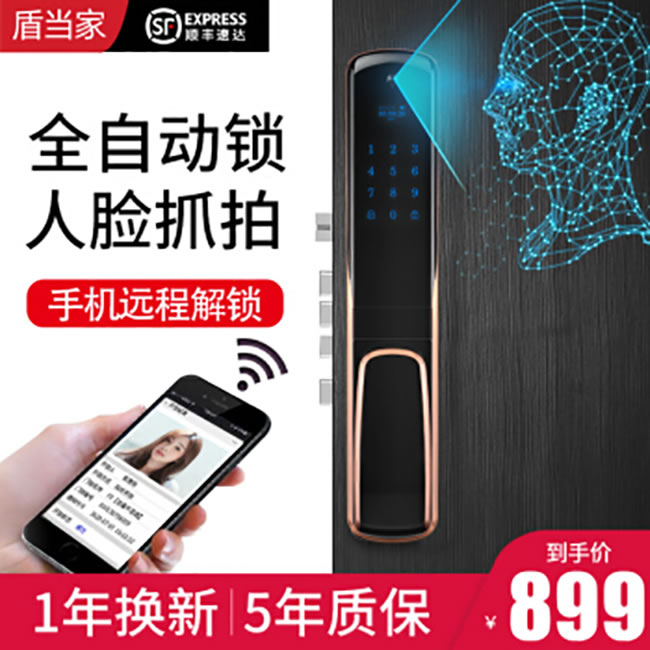 盾当家智能锁 F9家用全自动智能门锁密码锁