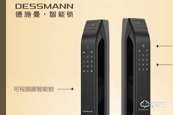 德施曼智能锁排名第几