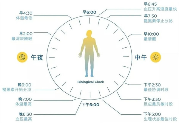 光线与昼夜节律 | 科学打造健康生物钟的照明环境